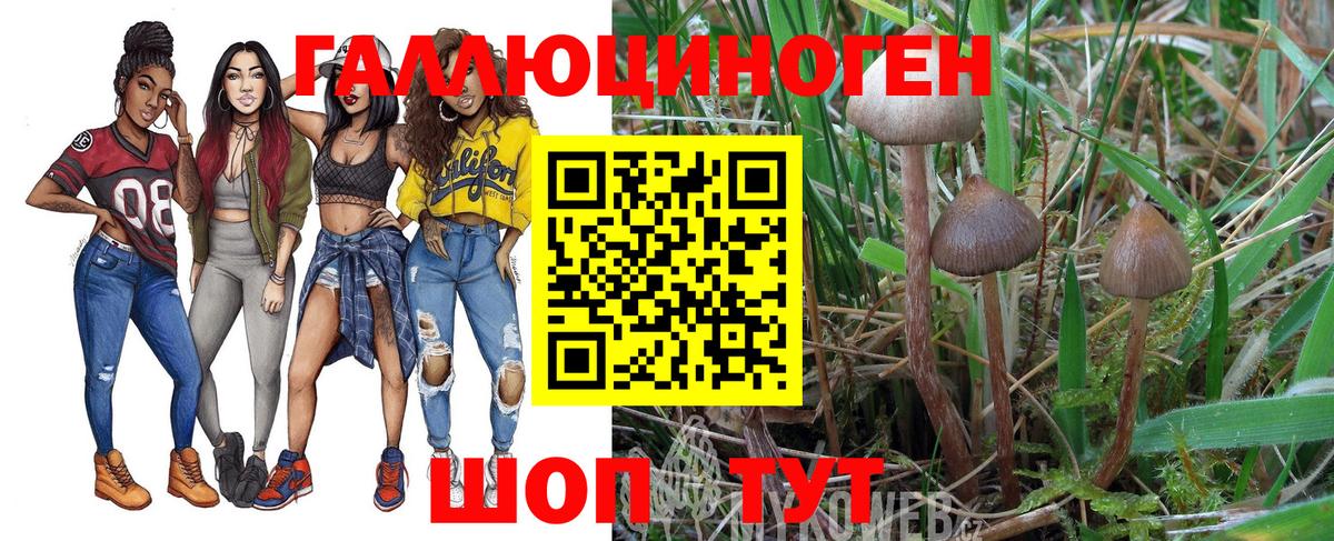 Барнаул  Псилоцибиновые грибы ЛСД  Вход с VPN  Галлюциногенные грибы Cubensis 